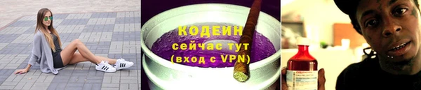 ГАЛЛЮЦИНОГЕННЫЕ ГРИБЫ Аркадак