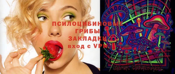 не бодяженный Алексин