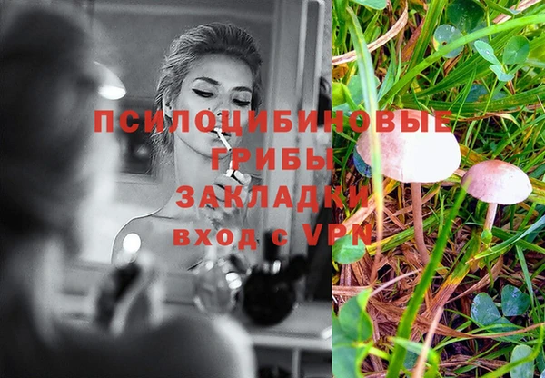 дживик Арсеньев
