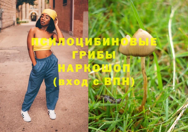 не бодяженный Алексин
