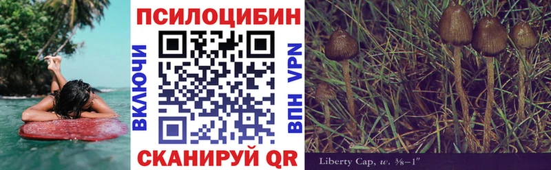 Галлюциногенные грибы прущие грибы Березники